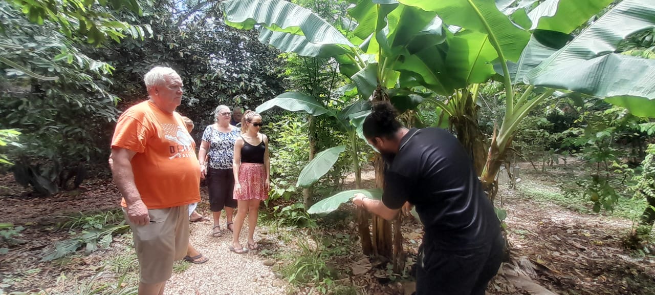 Clases de ñinos en Lexis Tamarindo
